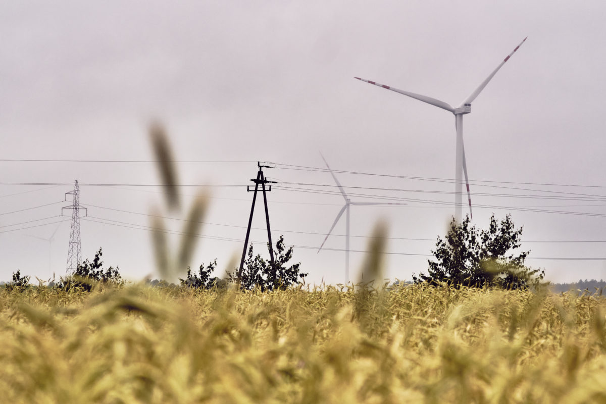 We launched the sixth wind farm in Poland